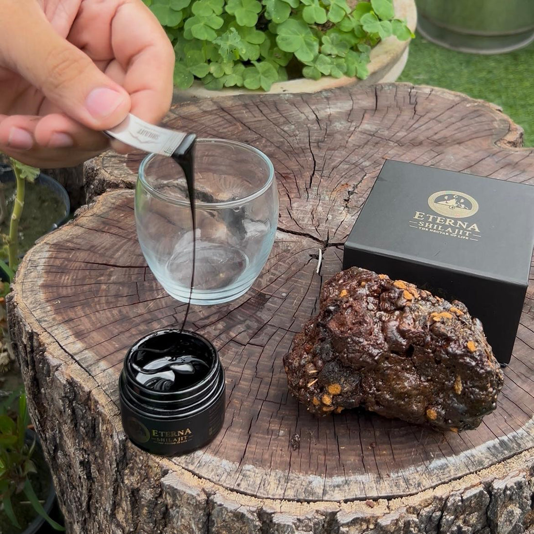 Eterna Shilajit Tik Tok - Eterna Shilajit